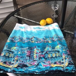 Talbots size 6 skirt - almost brand new.